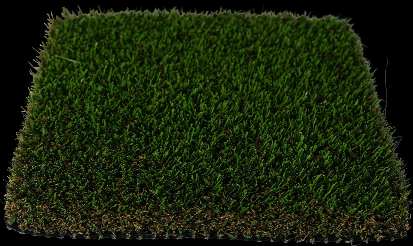 K-9 turf sample, photographed