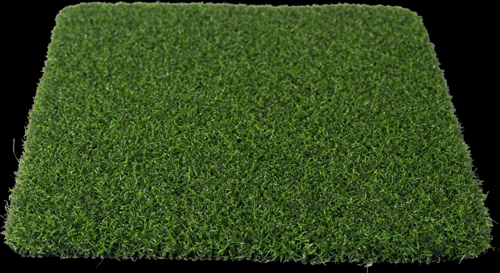 Pro Putt turf sample, photographed